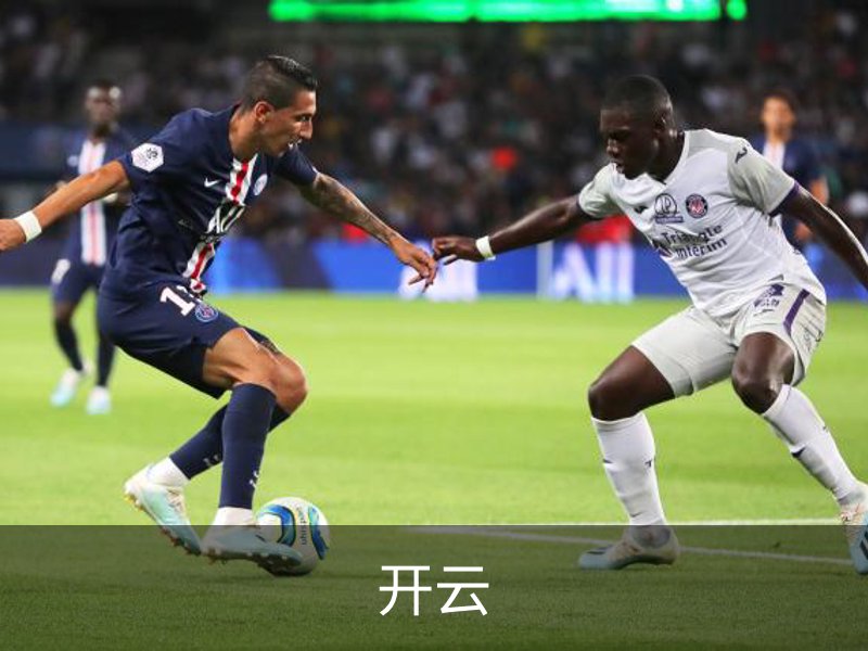 开云简介