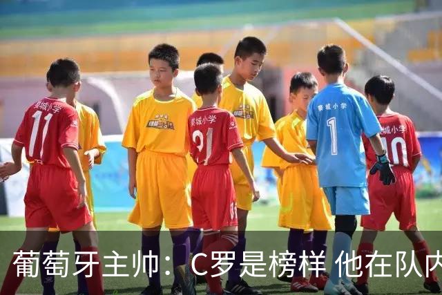葡萄牙主帅：C罗是榜样 他在队内的重要性像是他首次参加世界杯